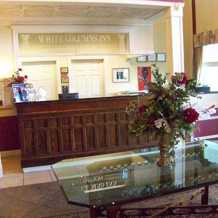 White Columns Inn 汤姆森 外观 照片