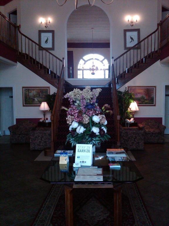 White Columns Inn 汤姆森 外观 照片